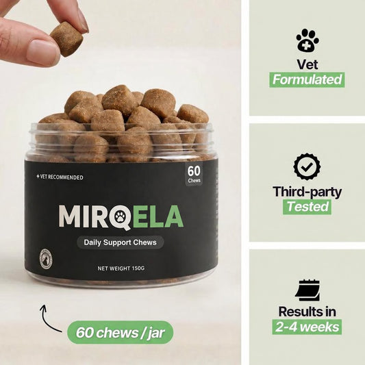 Daily Support Chews for Dogs