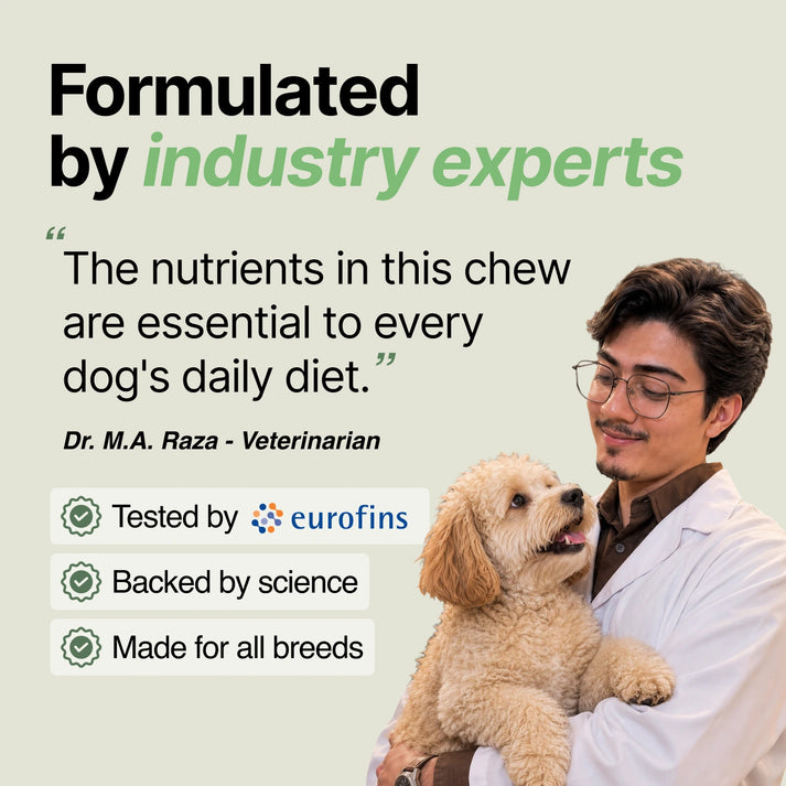 Daily Support Chews for Dogs
